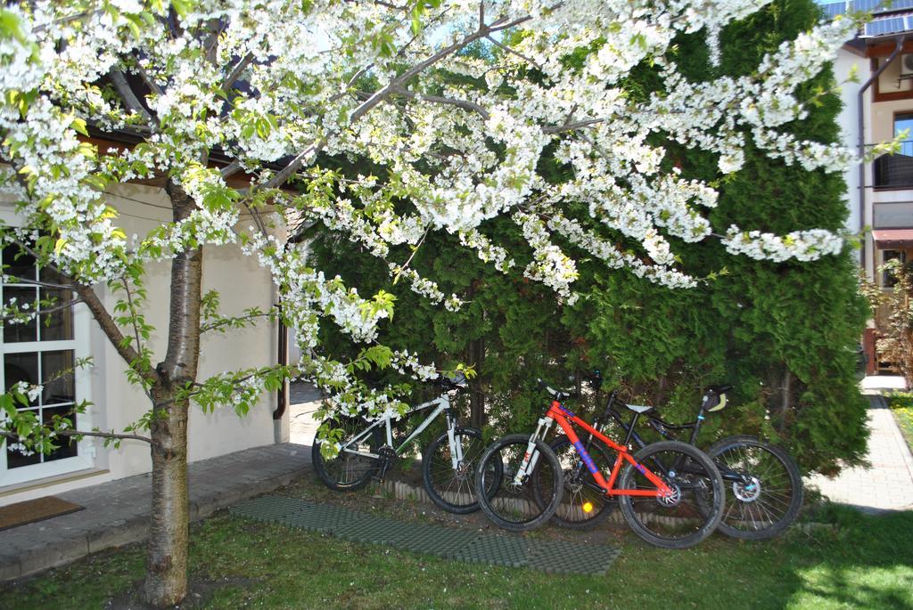 Appartement Apartament Beta à Bistriţa Extérieur photo